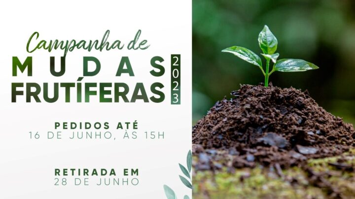 Pedido de mudas frutíferas segue até 16 de junho em Timbó