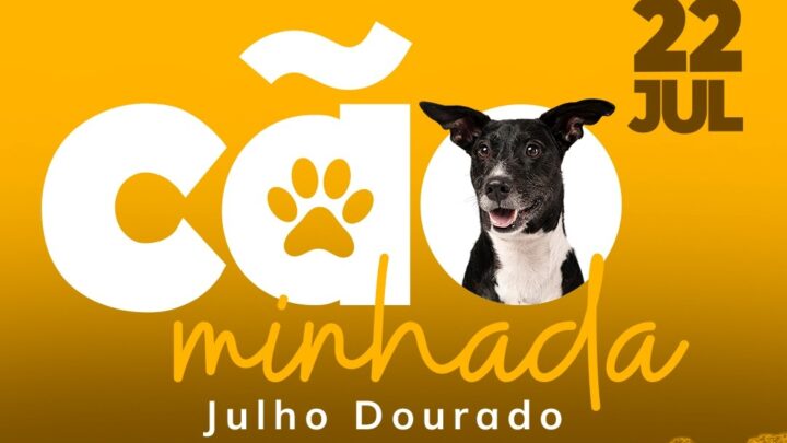Cãominhada Julho Dourado acontece neste sábado em Timbó