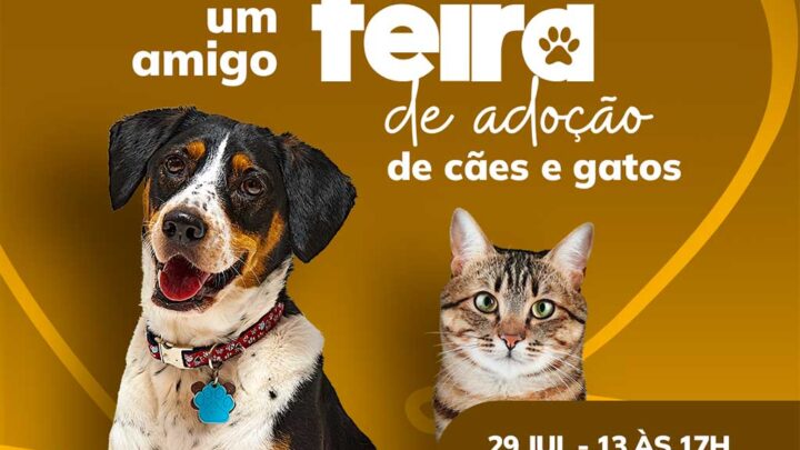Feira de adoção de cães e gatos acontece neste sábado em Timbó