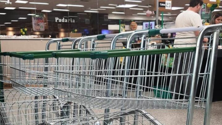 Carrinhos adaptados para pets chegam à Rede Cooper em Blumenau