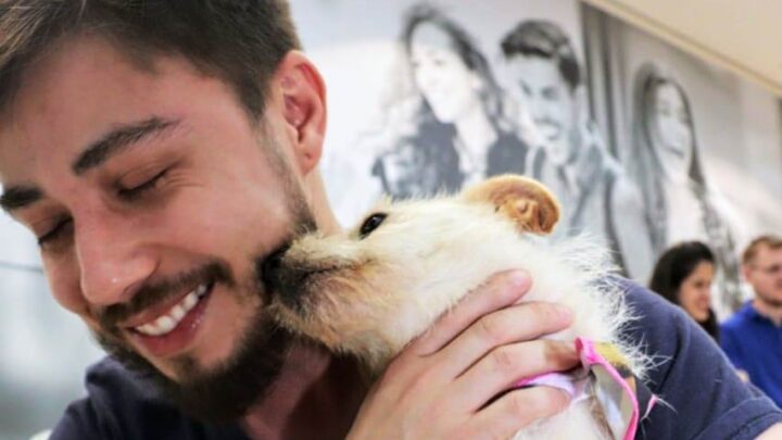 Blumenau – Fim de semana tem Jogaderia e Feira Pet no Norte Shopping