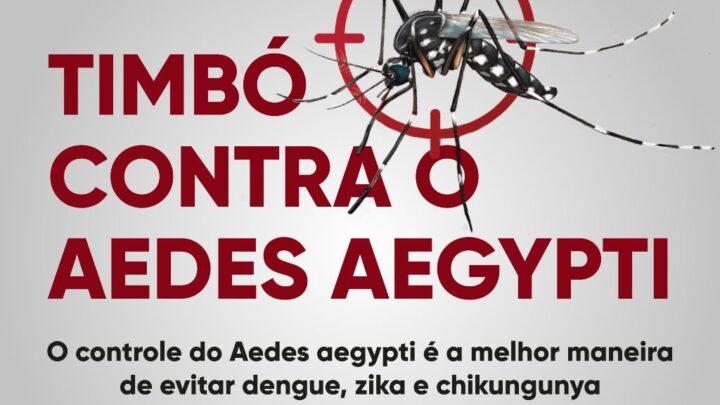 Boletim atualizado sobre a situação de casos de dengue em Timbó – 11/07/2024