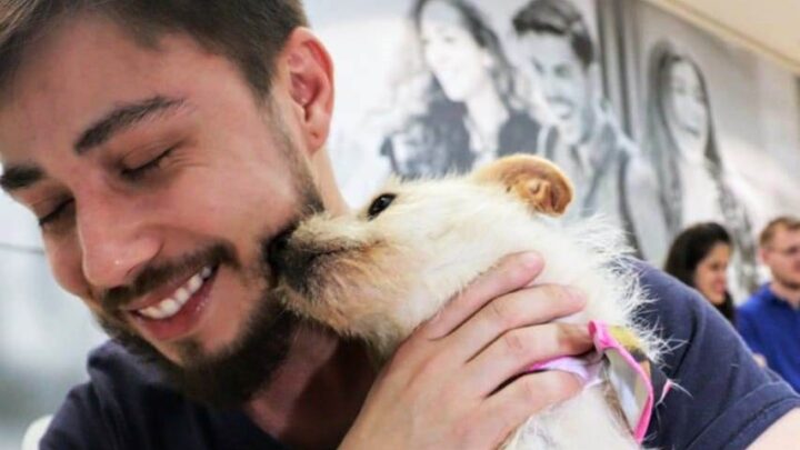 Norte Shopping promove a tradicional ‘Feira Pet’ neste fim de semana