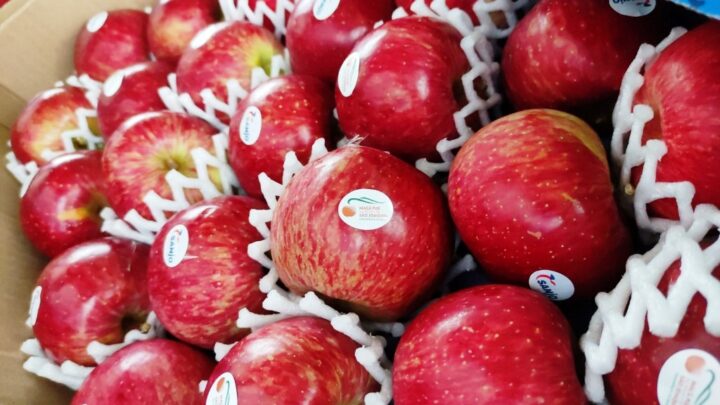 São Joaquim  terá 2º Concurso Nacional de Qualidade da Maçã Fuji