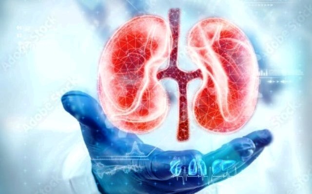 No Dia Mundial do Rim, Nefrologista alerta para os riscos da Doença Renal Crônica