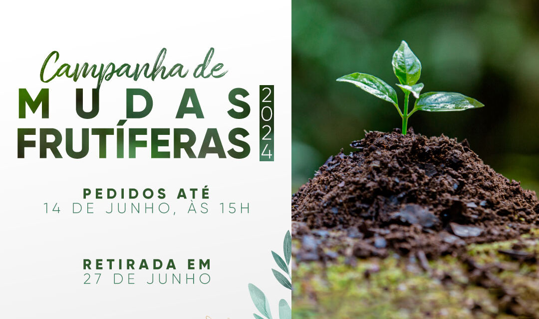 Prefeitura de Timbó inicia Campanha de Frutíferas 2024 Prefeitura de Timbó inicia Campanha de Frutíferas 2024