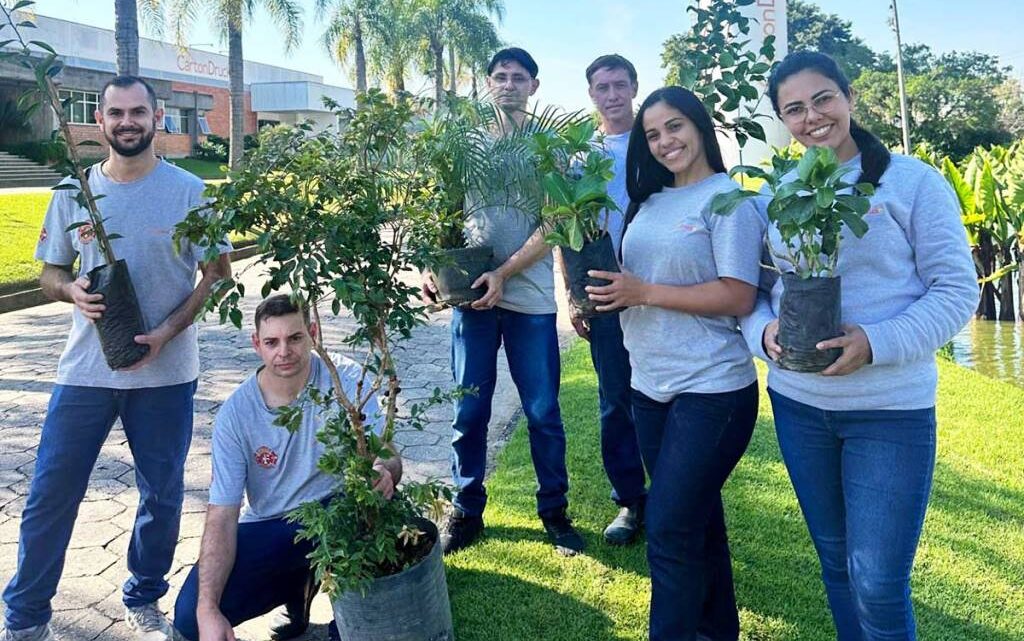 Mês do Meio Ambiente: empresa de Blumenau distribui mudas de árvores entre os colaboradores Mês do Meio Ambiente: empresa de Blumenau distribui mudas de árvores entre os colaboradores