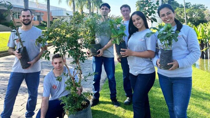 Mês do Meio Ambiente: empresa de Blumenau distribui mudas de árvores entre os colaboradores