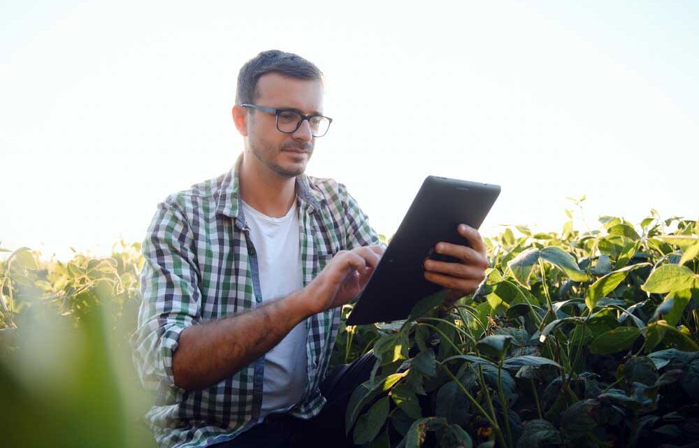 Com expansão do agronegócio, UNIASSELVI oferece cursos voltados para o setor Com expansão do agronegócio, UNIASSELVI oferece cursos voltados para o setor