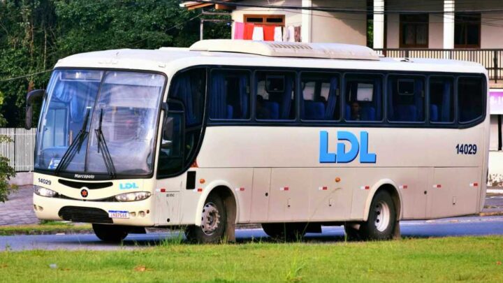 Nova empresa assume linhas intermunicipais na região a partir desta segunda-feira