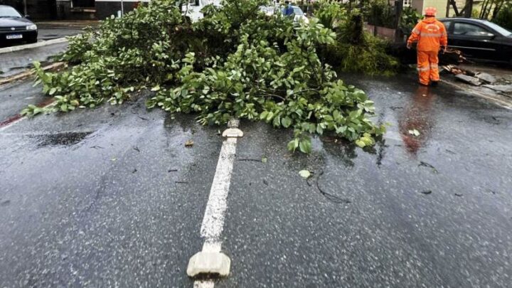 Timbó – Fortes ventos e trovoada causam estragos na cidade na tarde de quinta-feira