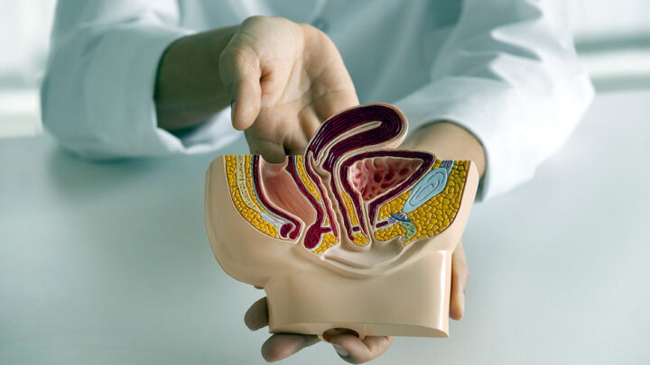 Março Azul Marinho: diagnóstico precoce é essencial para combate ao câncer do intestino