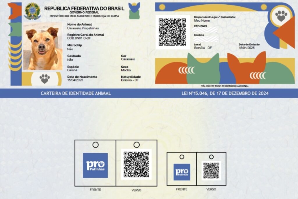 Modelo do RG do Sinpatinhas: QR Code reúne informações que ajudam a localizar o tutor em caso de o bichinho se perder