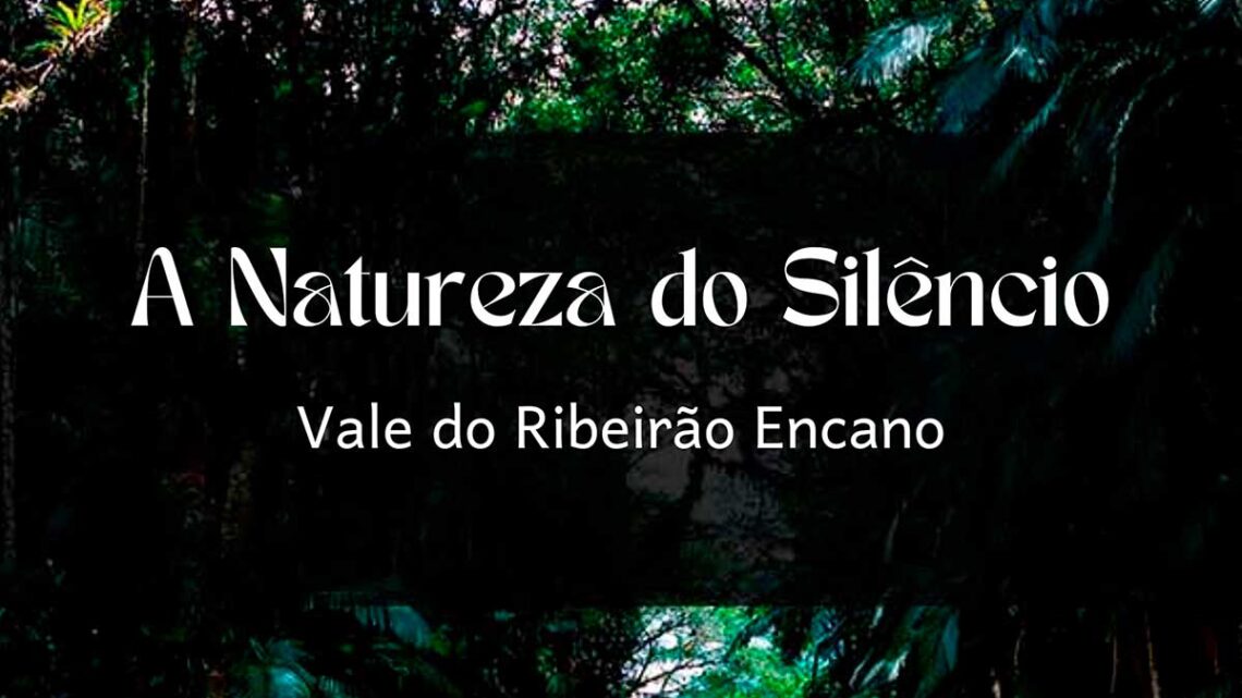 Indaial – Projeto “Raízes Invisíveis” convida para uma Noite Cultural de encontro entre arte e natureza