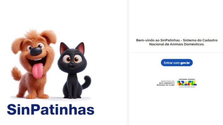 PETS – RG para cães e gatos: tire dúvidas sobre a nova ação do Governo Federal
