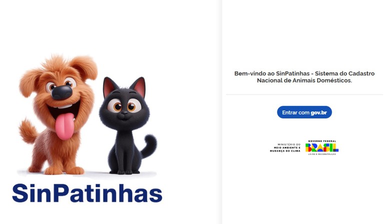 PETS – RG para cães e gatos: tire dúvidas sobre a nova ação do Governo Federal PETS – RG para cães e gatos: tire dúvidas sobre a nova ação do Governo Federal