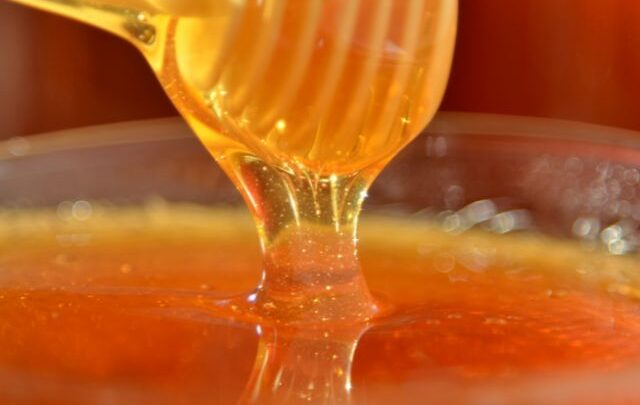 Santa Catarina se destaca na produção e exportação de mel