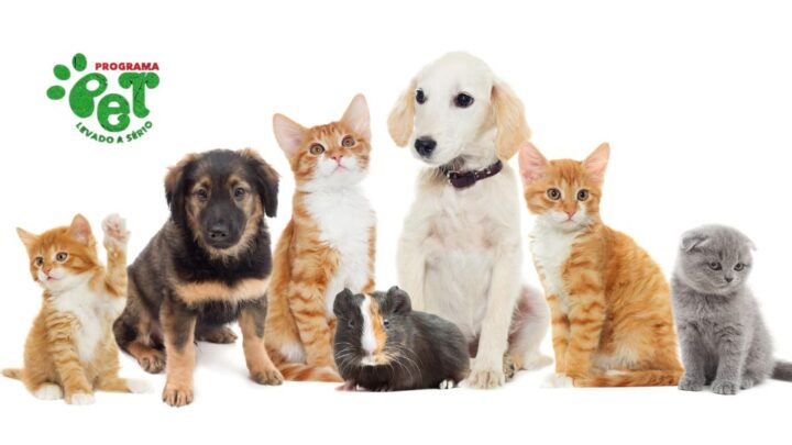 Timbó garante adesão ao programa “Pet Levado a Sério” e receberá R$ 197 mil do Governo do Estado para ações em defesa da causa animal