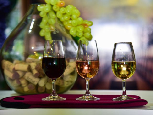 Vinhos artesanais catarinenses ganham qualidade para entrar no mercado