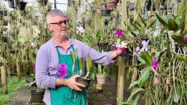 Dia do Orquidófilo celebra o encantamento pelas orquídeas e o convívio com a natureza