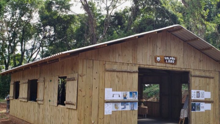 Coluna Escoteira – por Rogerio Gessner 18/07/2025