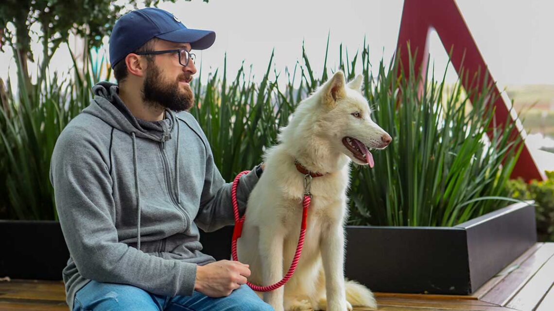 Mutirão de castração no Norte Shopping abre inscrições