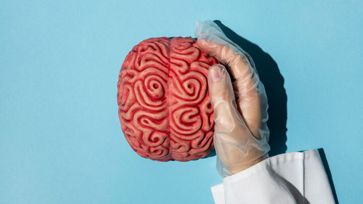5 hábitos simples para ter um cérebro saudável