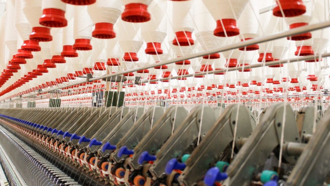 Conheça a empresa de Indaial que transforma quase todo o resíduo gerado em matéria-prima reaproveitável