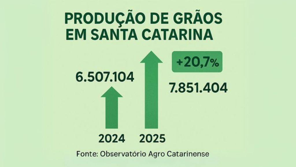 Santa Catarina tem safra recorde de grãos em 2025 com alta de 20,7%