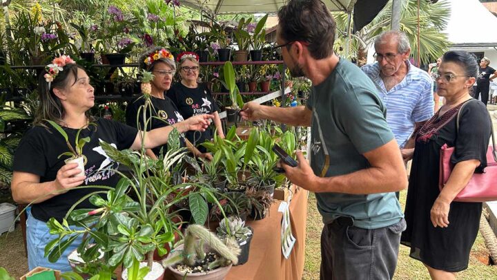 Festival das Flores da Primavera tem exposição de orquídeas, mercado de plantas e oficinas de cultivo gratuitas
