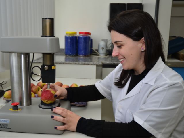 50 anos de pesquisa da Epagri transformam o Brasil de importador a exportador de maçã 50 anos de pesquisa da Epagri transformam o Brasil de importador a exportador de maçã