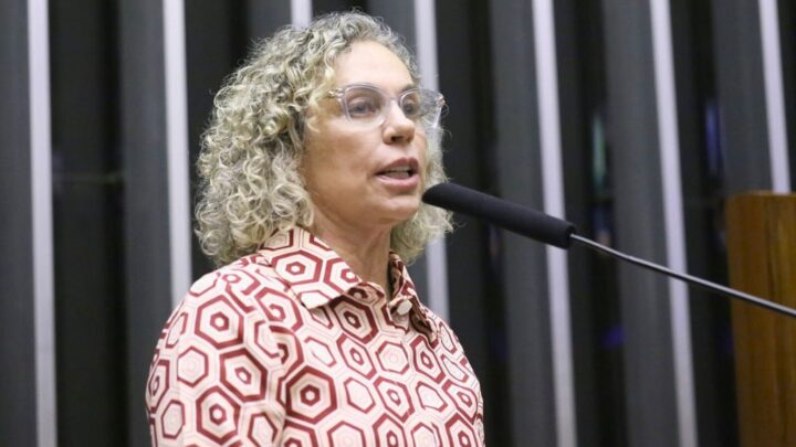 “Quase 1 milhão de catarinenses livres do Imposto de Renda”, afirma Ana Paula Lima