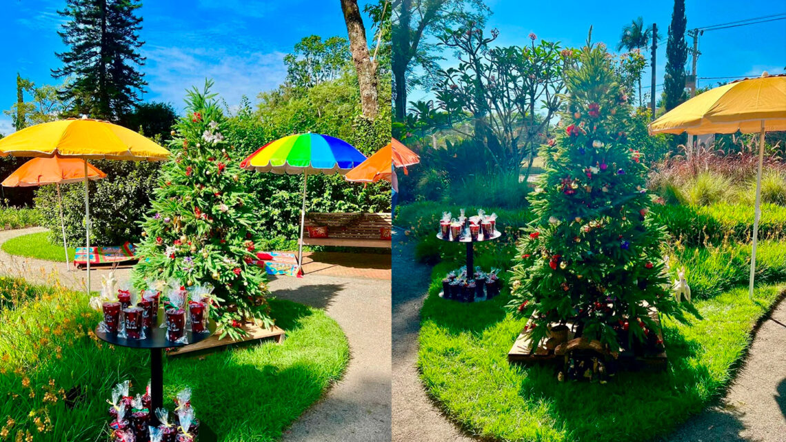Ações de Natal no Jardim de Charlote