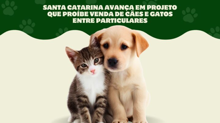 Santa Catarina avança em projeto que proíbe venda de cães e gatos entre particulares