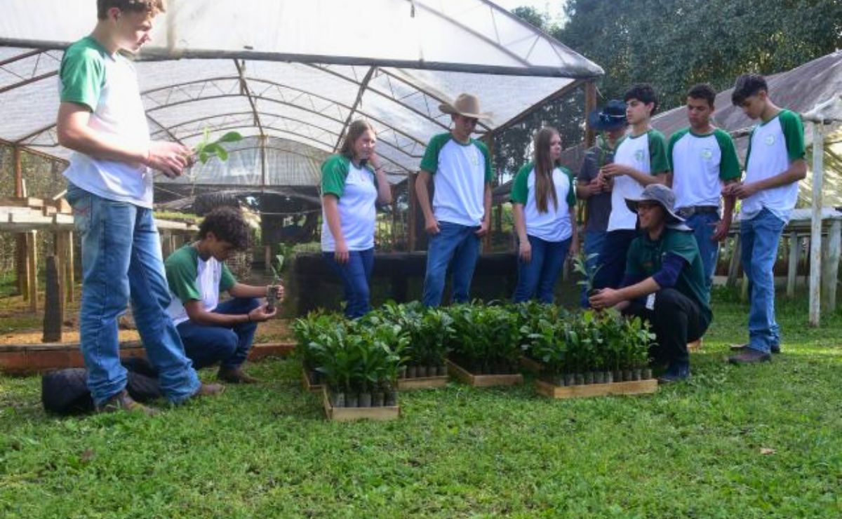 Balanço 2025: Epagri assume gestão de Cedups e revoluciona educação técnica em Santa Catarina