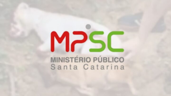 Justiça decreta prisão de suspeitos de matar cães em Timbó e Rio Cedros