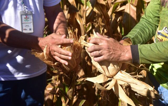 Epagri celebra 70 anos de extensão rural com homenagens a quem construiu essa história