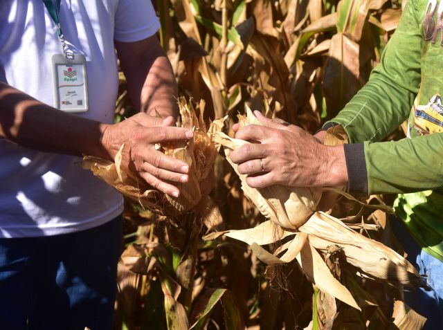 Epagri celebra 70 anos de extensão rural com homenagens a quem construiu essa história Epagri celebra 70 anos de extensão rural com homenagens a quem construiu essa história