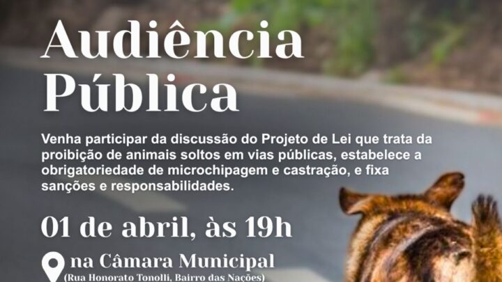 Timbó discute lei sobre animais soltos, microchipagem e castração legal