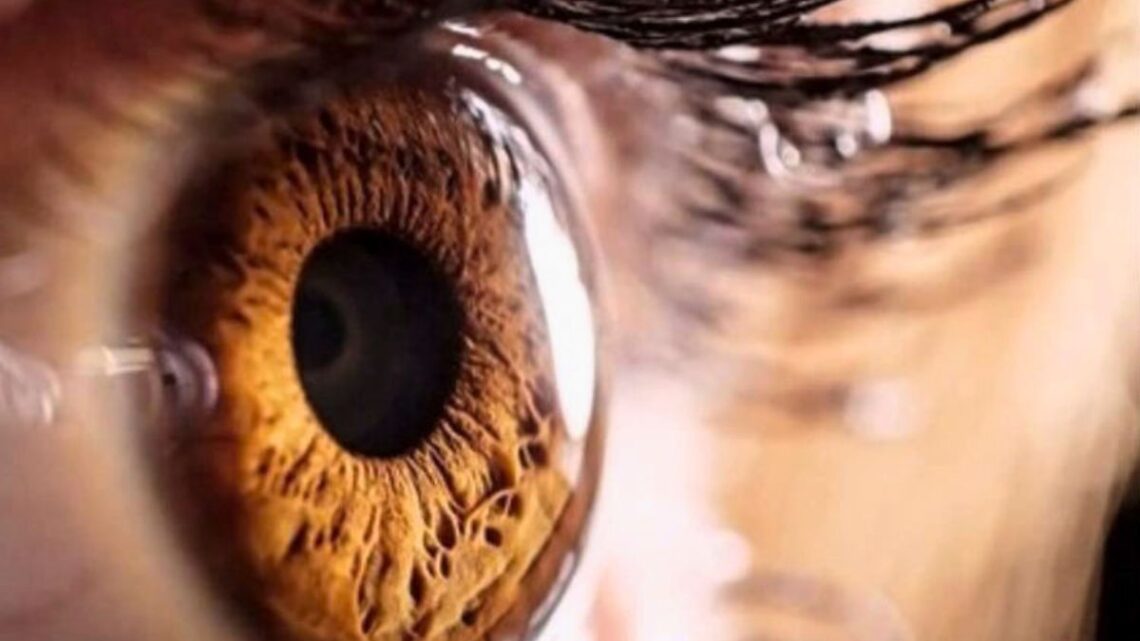 Abril Marrom reforça alerta para a cegueira evitável e mobiliza atenção para a saúde ocular