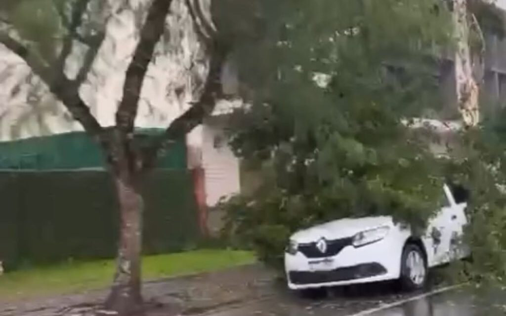 VÍDEO: Temporal com granizo e ventos fortes atinge Timbó