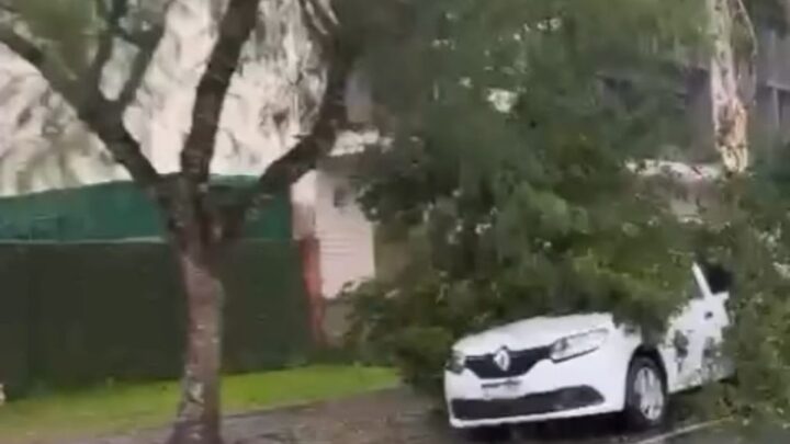 VÍDEO: Temporal com granizo e ventos fortes atinge Timbó
