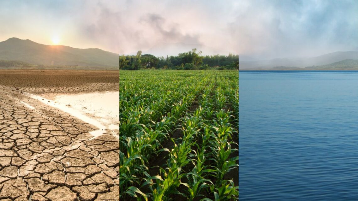 BRDE reforça oferta de crédito climático com atendimento ao Fundo Clima BRDE reforça oferta de crédito climático com atendimento ao Fundo Clima
