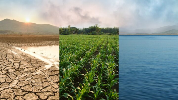 BRDE reforça oferta de crédito climático com atendimento ao Fundo Clima