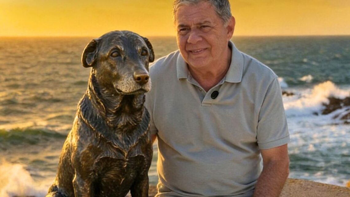 Praia Brava ganhará estátua do cão Orelha