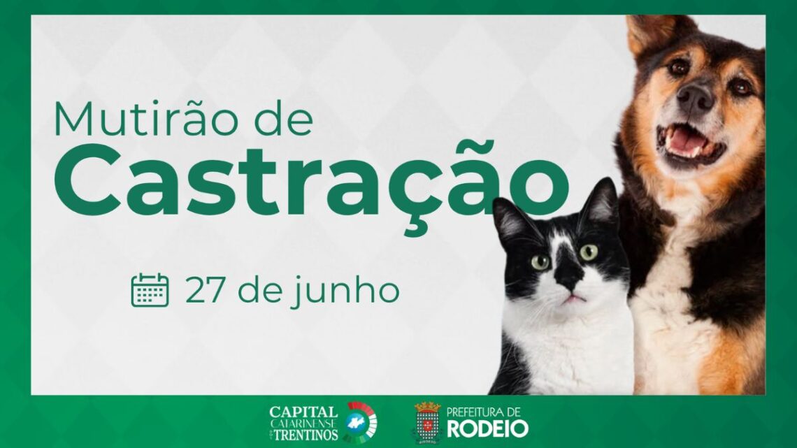 Rodeio realiza 2º mutirão de castração de cães e gatos em 27 de junho